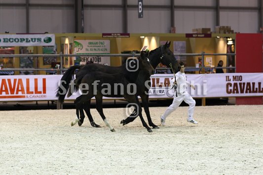 PRINCESS LIESA_MILANO_2010_SS3_7438.jpg